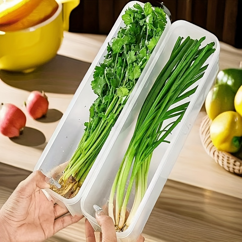 Kotak Penyimpanan Kulkas untuk - Food Storage And Preservation ulasan dan harga