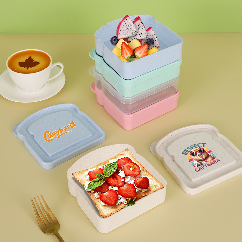 Kotak Penyimpanan Makanan Sand - Food Storage Lid ulasan dan harga